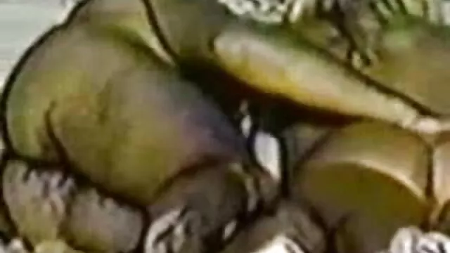 زينت مع أحمر لقطات سكسيه اجنبيه الشعر فتاة على النهر