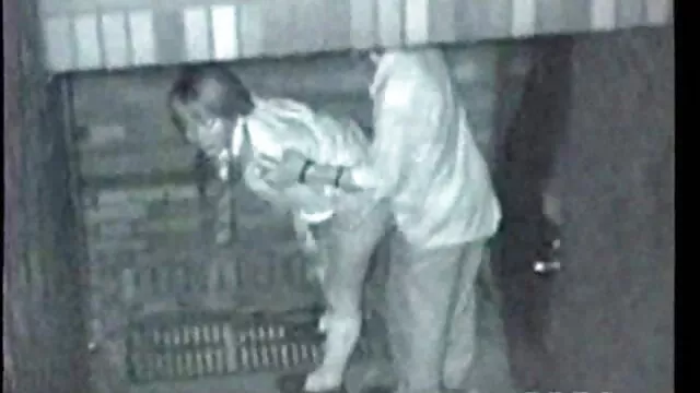 ملثمين اللصوص سكس من افلام اجنبي تقلى الجمال
