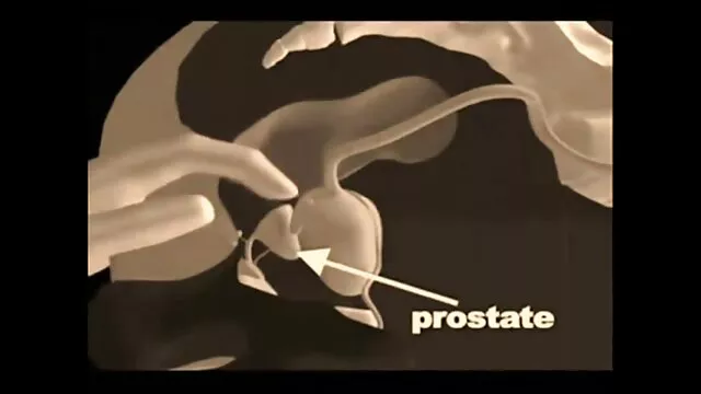 مصير ديكسون علاقة افلام اجنبية ممنوعة سكس مع المدلك
