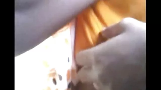 تدريب الديوك اثنين من الرياضيين افلام اجنبيه اباحيه مترجمه الشباب
