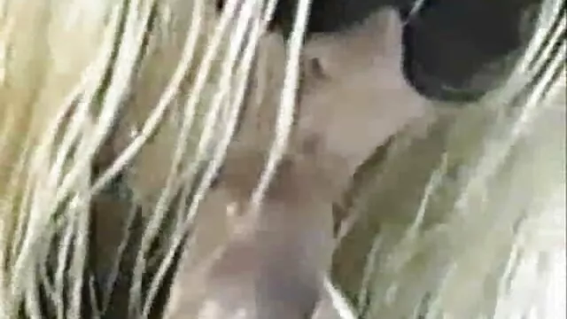 أرجل طويلة وقحة جين افلام سكس اجنبيه افلام سكس اجنبيه حبيبي في نزل لمدة 3